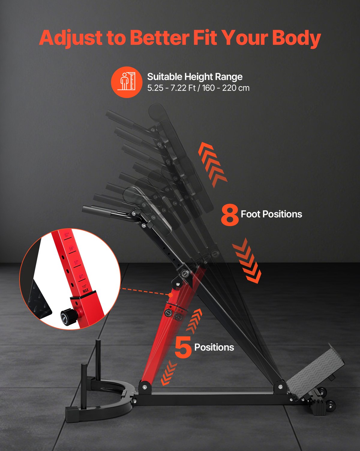 Evolved 350 Lbs Roman Hyperextension Bench